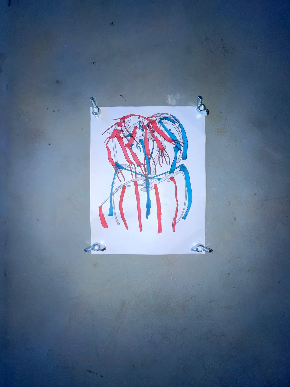 Disegno D14