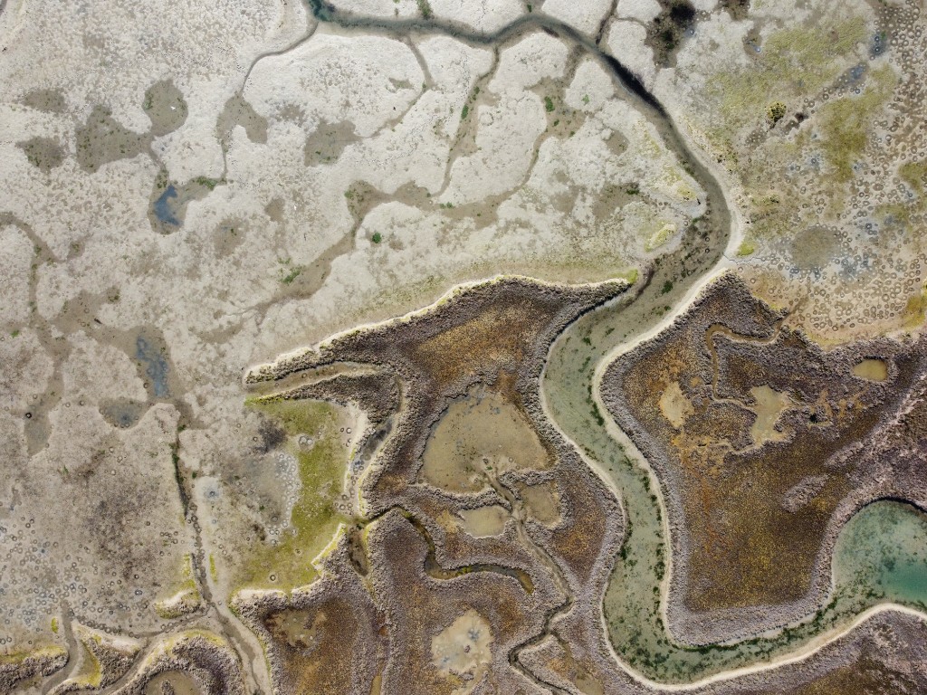 Laguna di Venezia 8