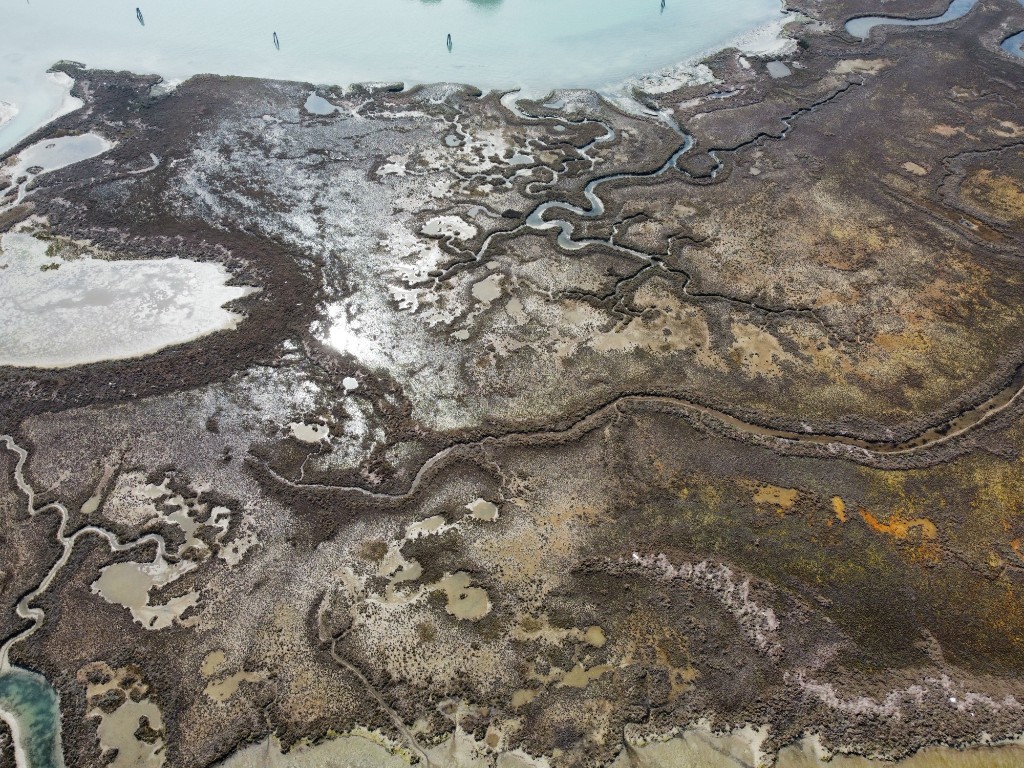 Laguna di Venezia 10