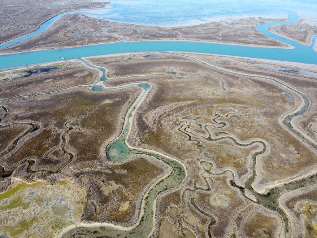 Laguna di Venezia 13