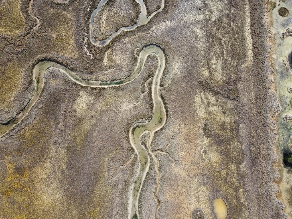 Laguna di Venezia 14