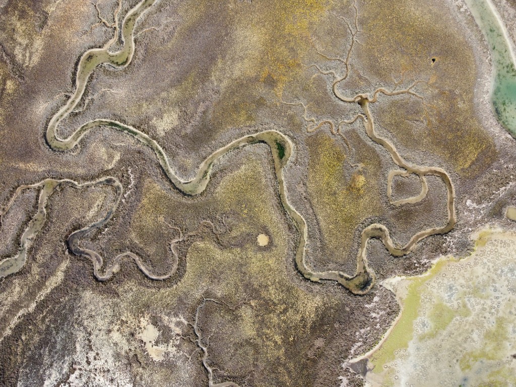 Laguna di Venezia 20