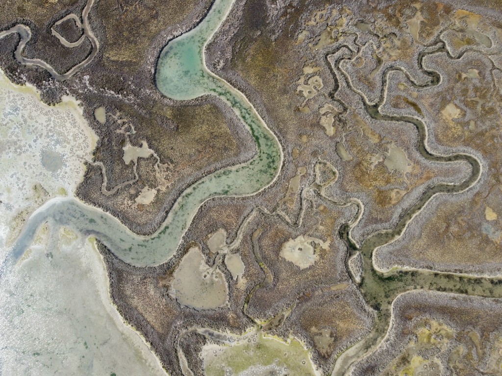 Laguna di Venezia 22