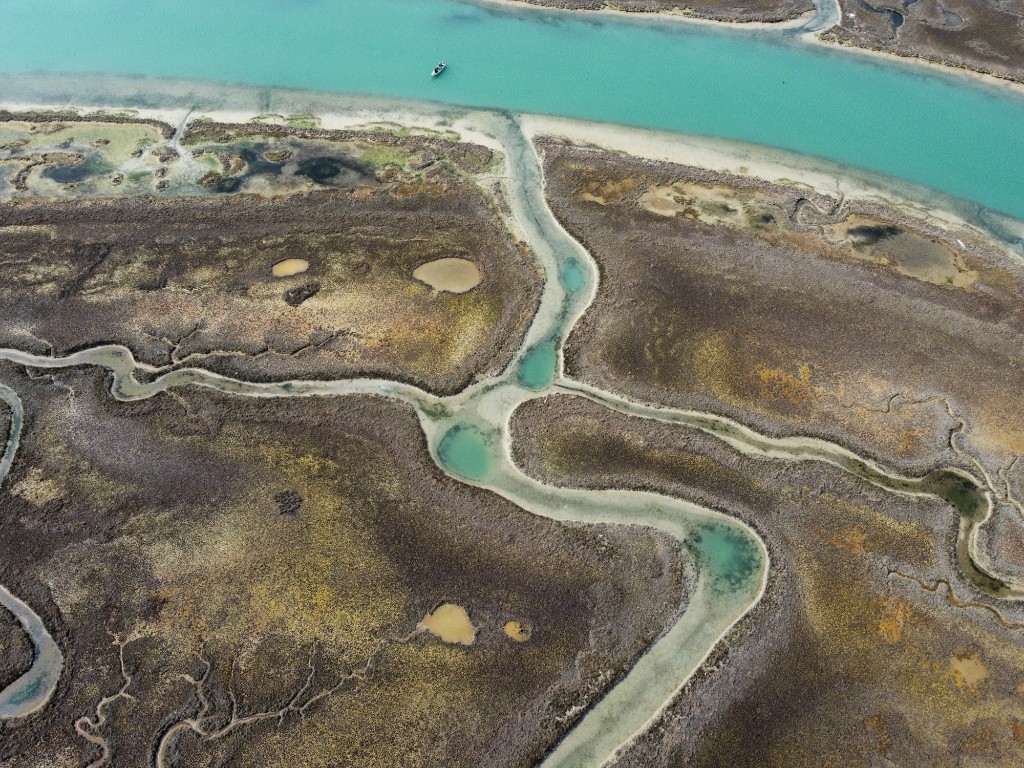 Laguna di Venezia 23
