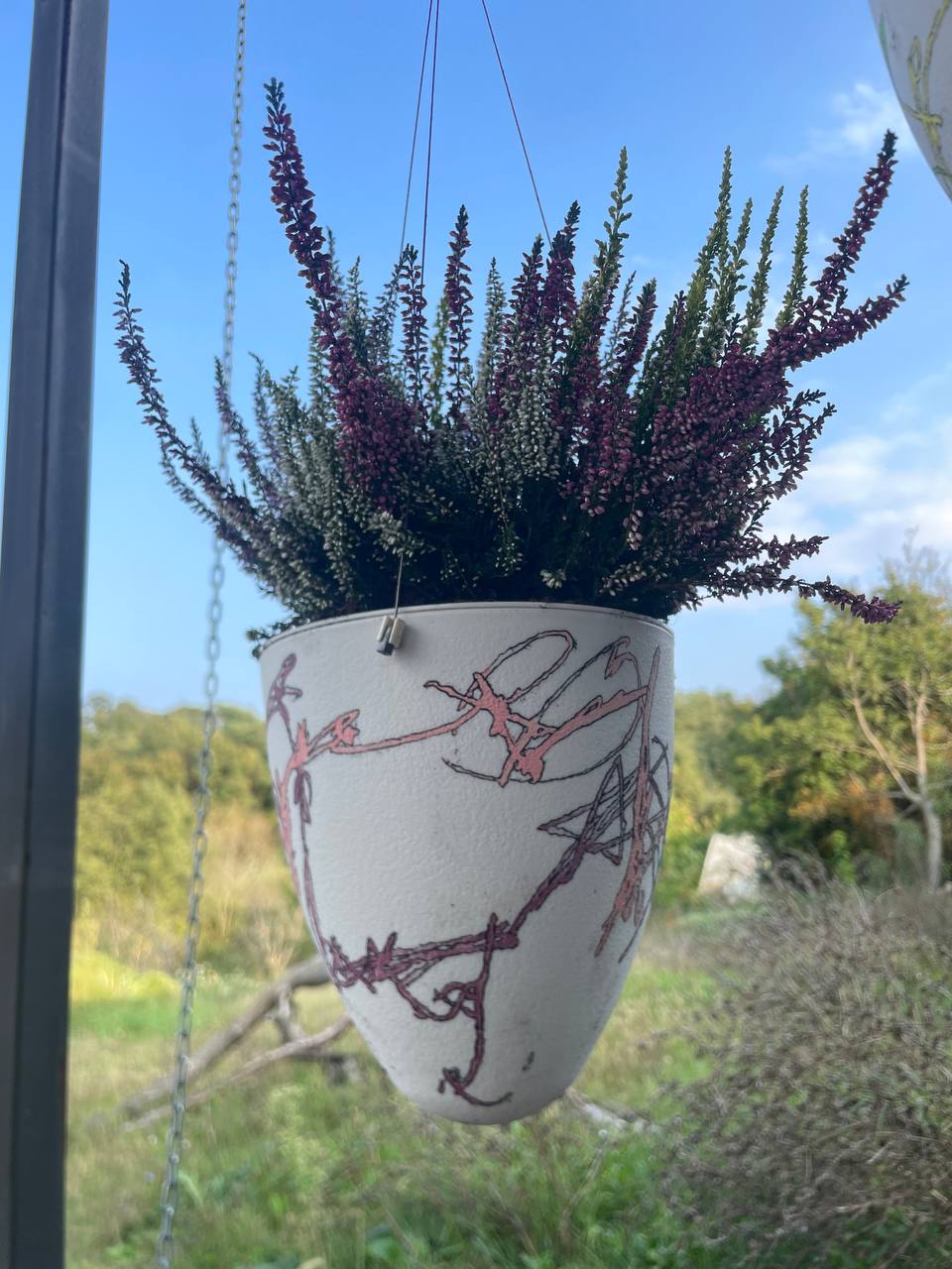 Vaso PLA PL·04